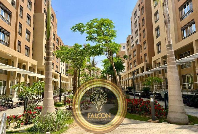 71395462 - صورة العقار 2