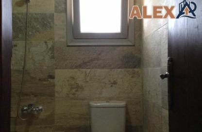 شقة - 3 - 2 للايجار في شارع مدخل شركة النقل والهندسة - سموحة - حي شرق - الاسكندرية