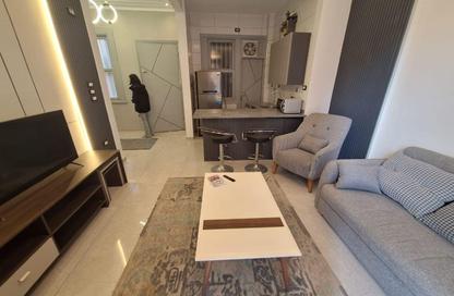 Apartment - 1 Bedroom - 1 Bathroom for rent in Ibn Zinky St. - Zamalek - Cairo