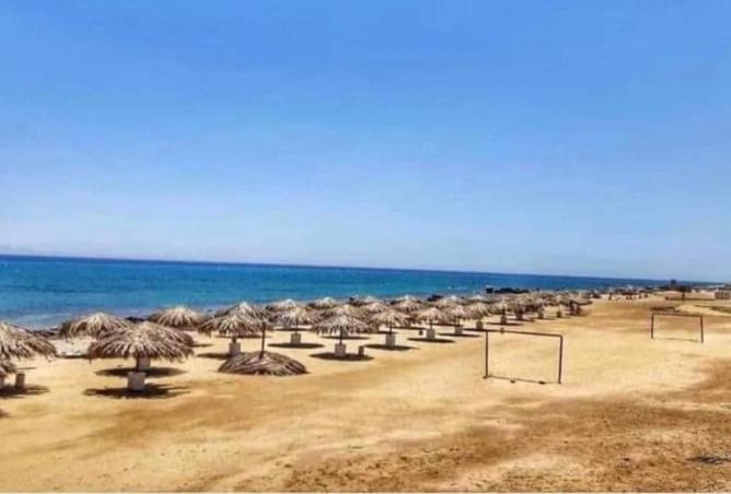 8716658 - صورة العقار 3