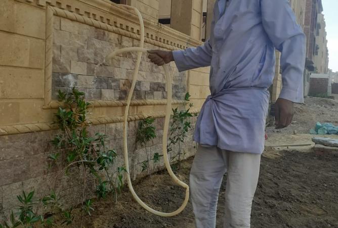 65412942 - صورة العقار 2