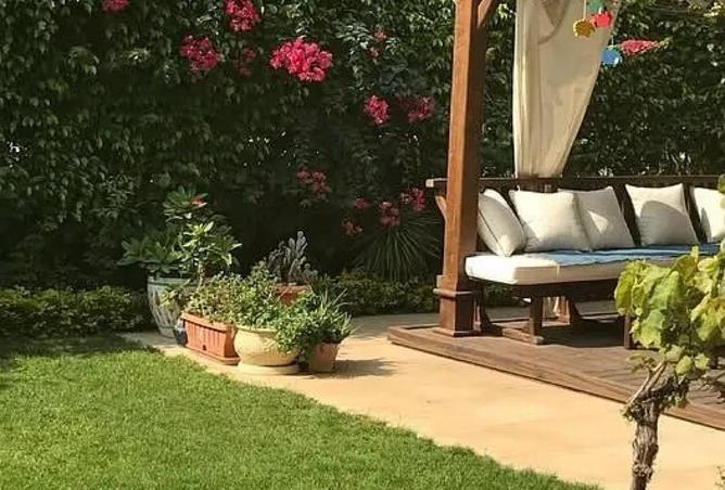 52446850 - صورة العقار 2