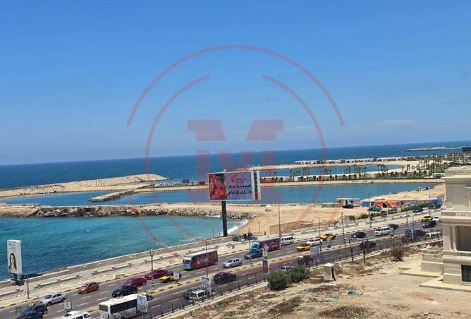 87206914 - Property Image 2