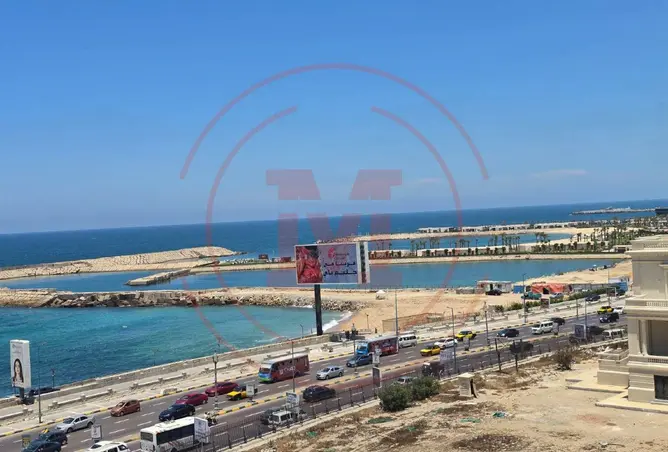 87206914 - صورة العقار 2