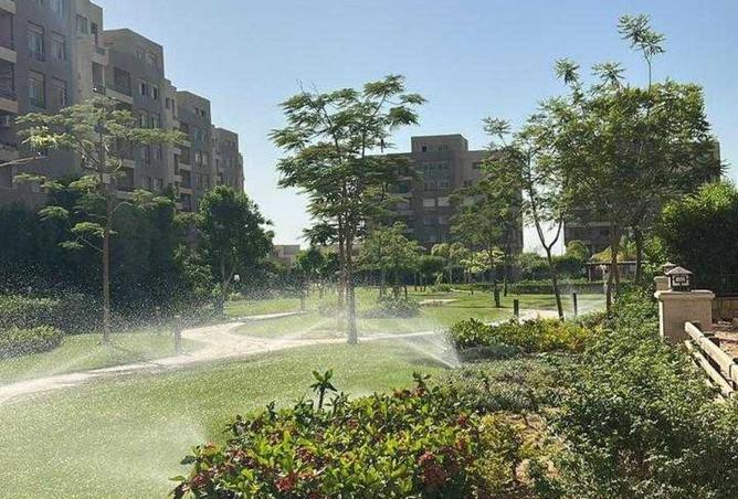 56749007 - صورة العقار 3