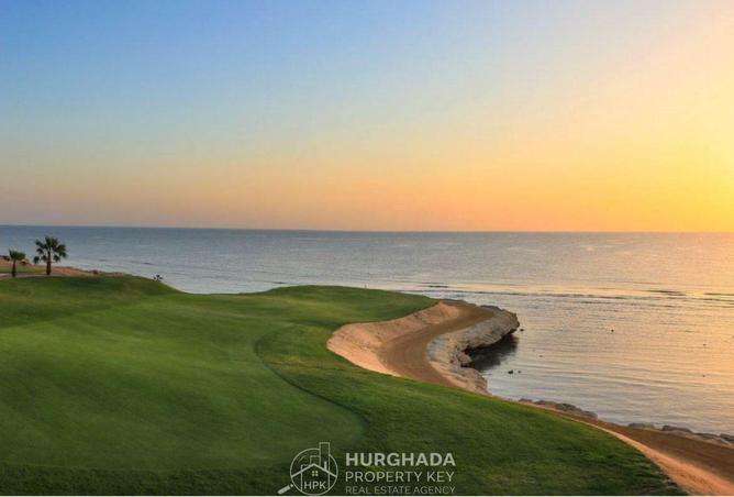 53718506 - Property Image 3