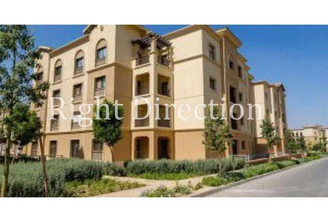 53722255 - Property Image 3