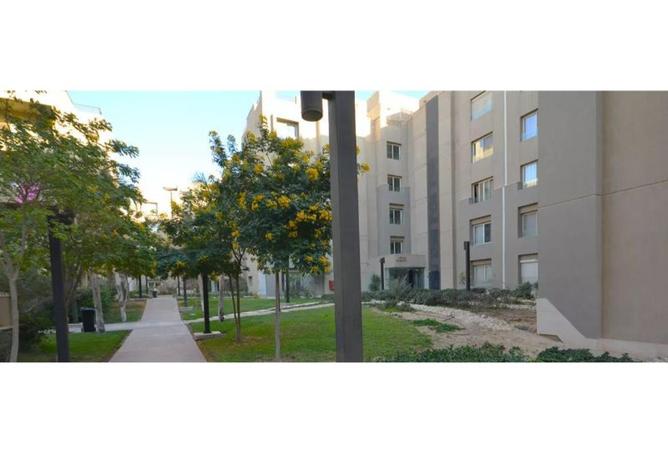 57736267 - Property Image 3