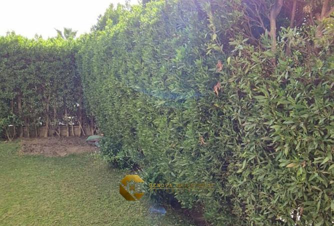 68521294 - صورة العقار 2