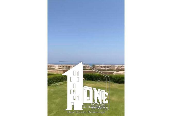 8541338 - Property Image 3