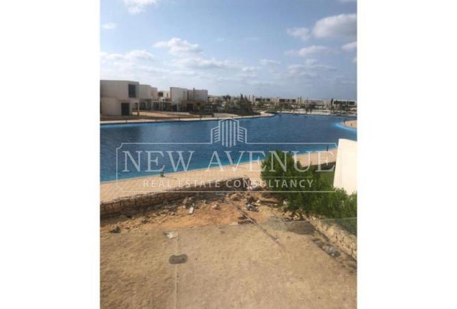 97718657 - Property Image 2