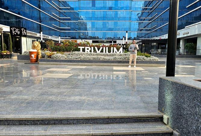 68800611 - صورة العقار 2