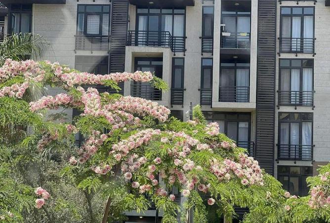 63382568 - صورة العقار 2