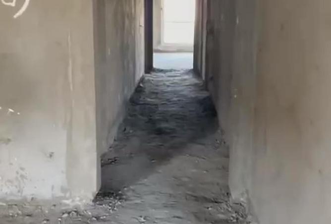 8553706 - Property Image 3