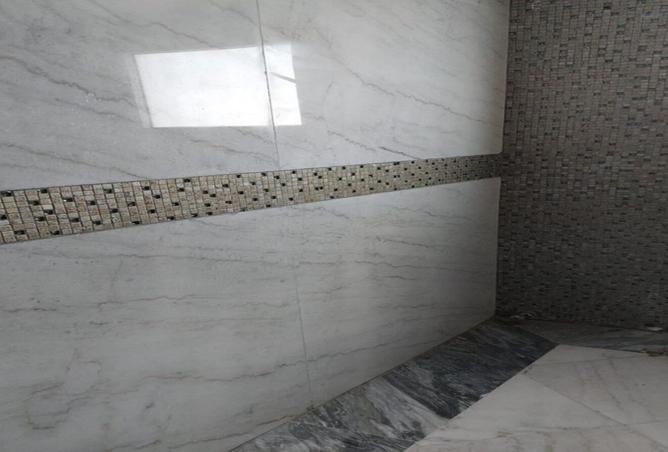 8501466 - صورة العقار 3