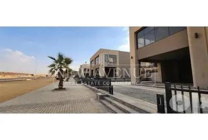102904145 - صورة العقار 3