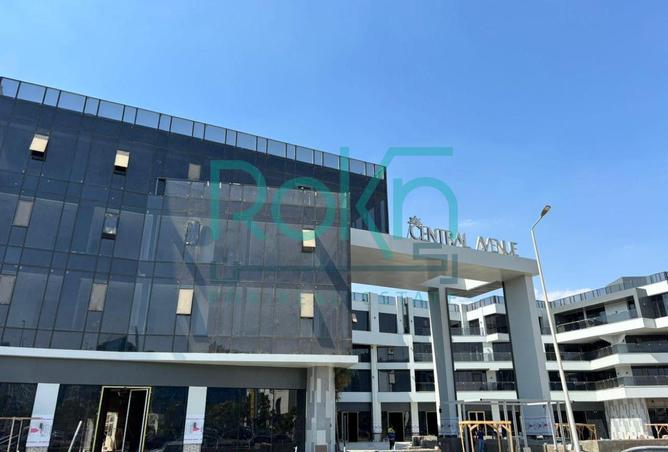 64647718 - صورة العقار 3