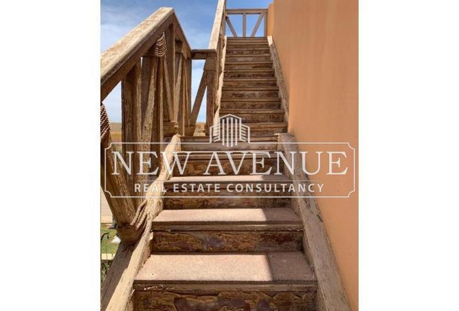 57244377 - Property Image 3