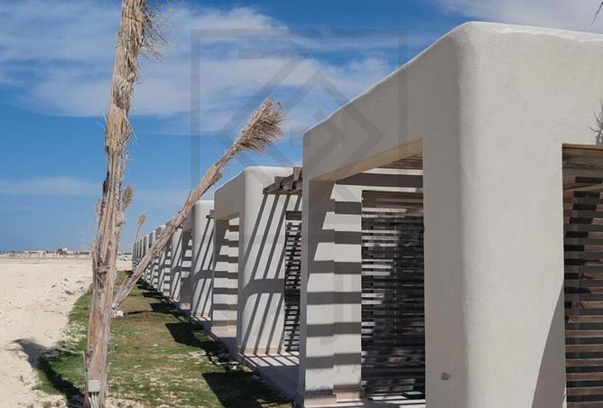 86678058 - صورة العقار 3