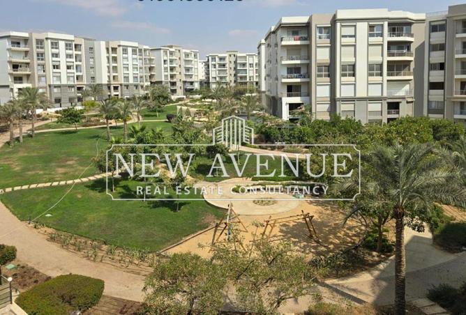 52447937 - صورة العقار 3