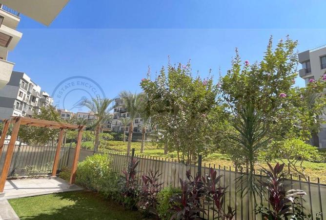 64899739 - صورة العقار 3