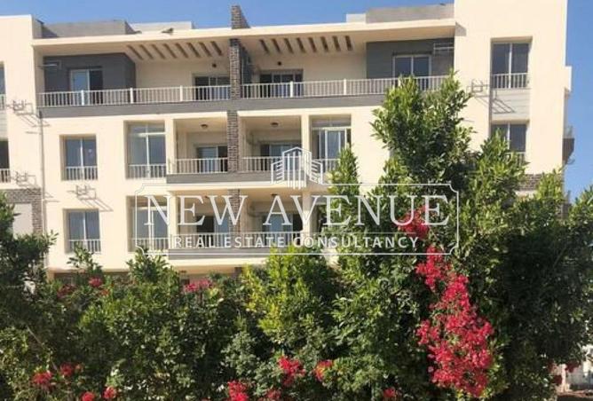 8593701 - صورة العقار 3