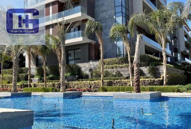 8596109 - Property Image 3