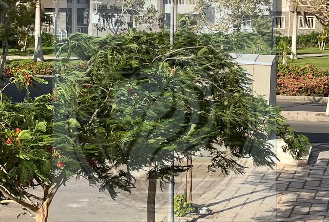99389479 - صورة العقار 2