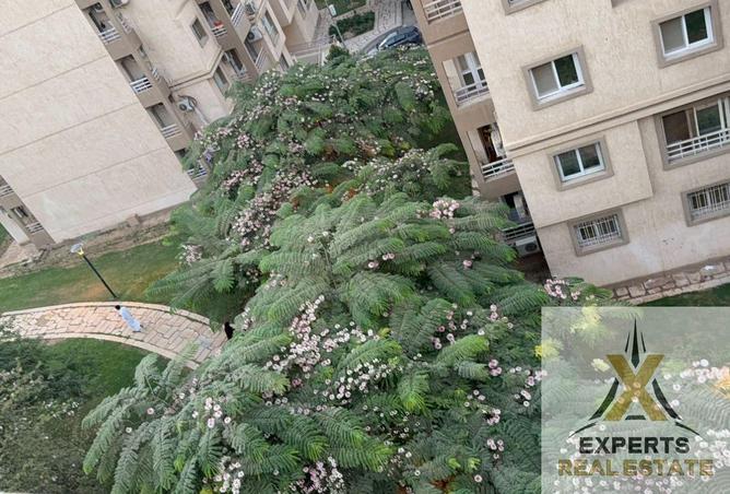 8411355 - صورة العقار 2