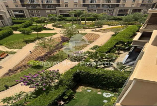 8549213 - Property Image 3