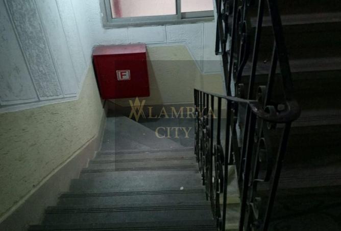 56004841 - Property Image 2