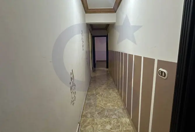 117267713 - Property Image 3