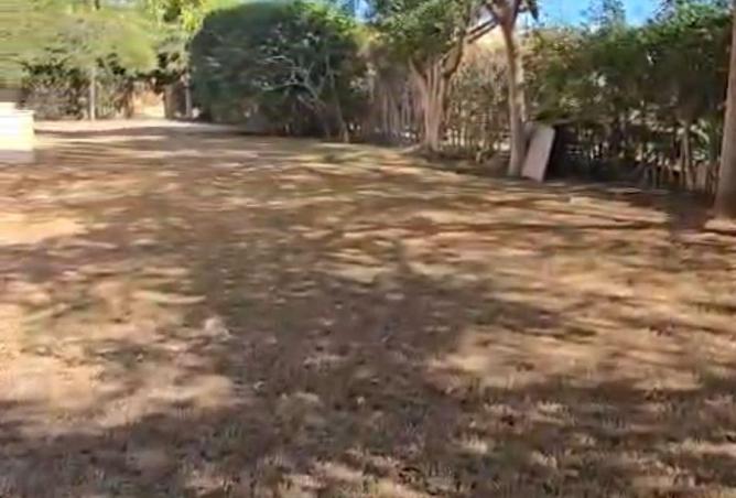 8561982 - صورة العقار 3