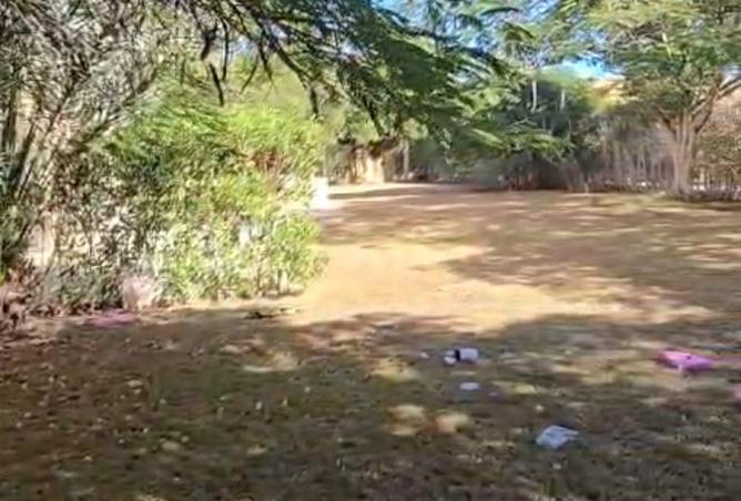 8561982 - صورة العقار 2