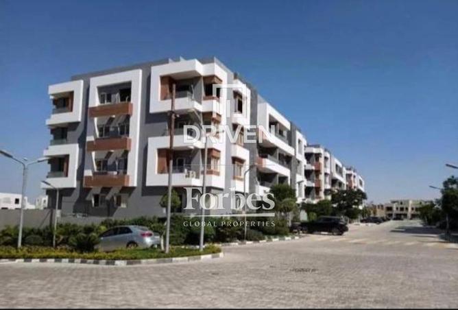 8609346 - Property Image 2