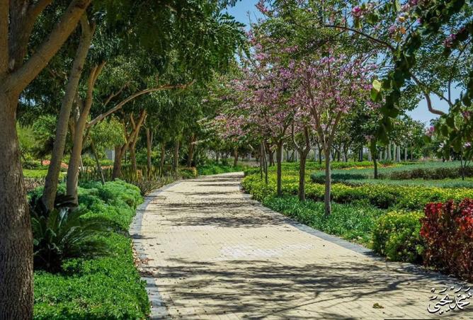 91575933 - الصورة الرئيسية للعقار