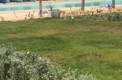 Chalet - 3 Bedrooms - 2 Bathrooms for rent in Fouka Bay - Qesm Marsa Matrouh - North Coast