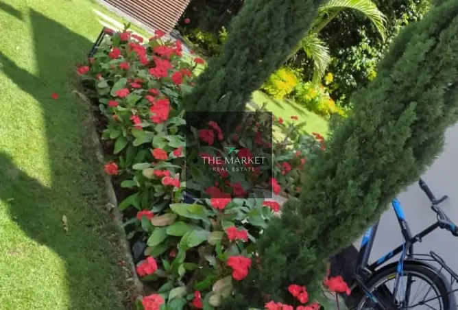 109913746 - صورة العقار 2