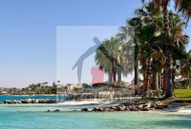 62405982 - صورة العقار 2