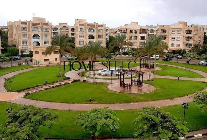 80255633 - صورة العقار 3