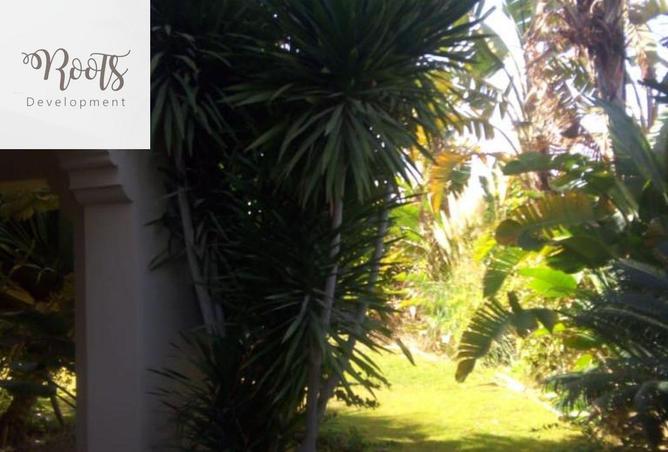 8649902 - Property Image 3