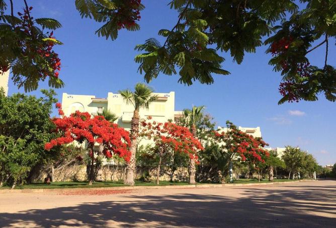 8586786 - صورة العقار 3