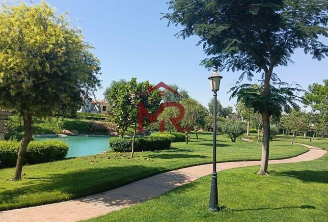 97706900 - صورة العقار 3