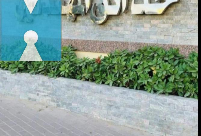 61924468 - صورة العقار 2