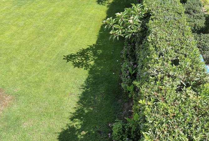 52712649 - صورة العقار 2