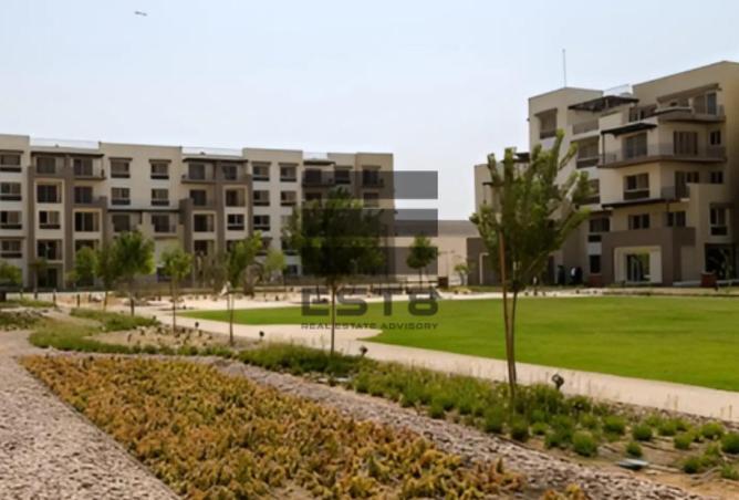 81836821 - صورة العقار 3
