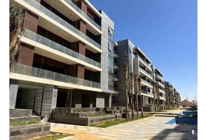 54507378 - Property Image 3