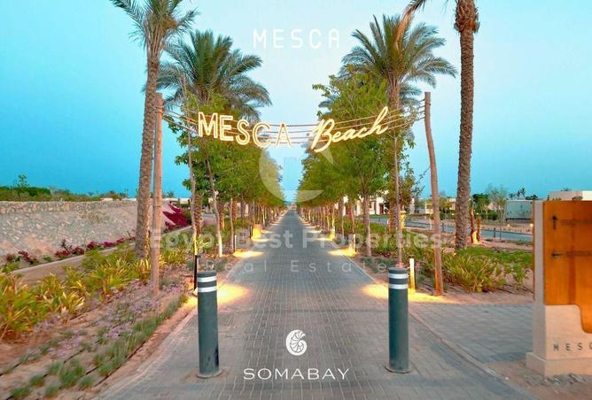 64647029 - Property Image 3