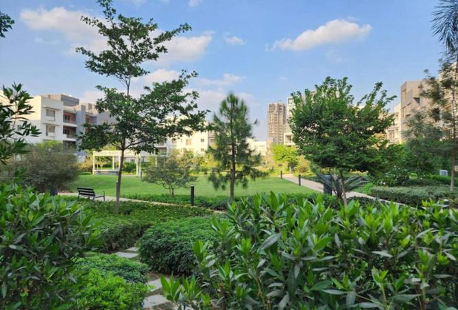 70877742 - صورة العقار 3