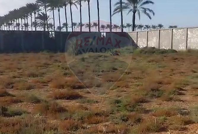 8432806 - صورة العقار 2